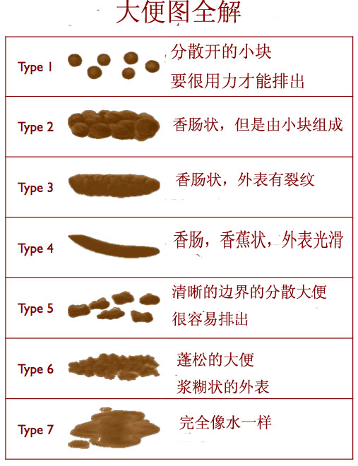 高清大便图